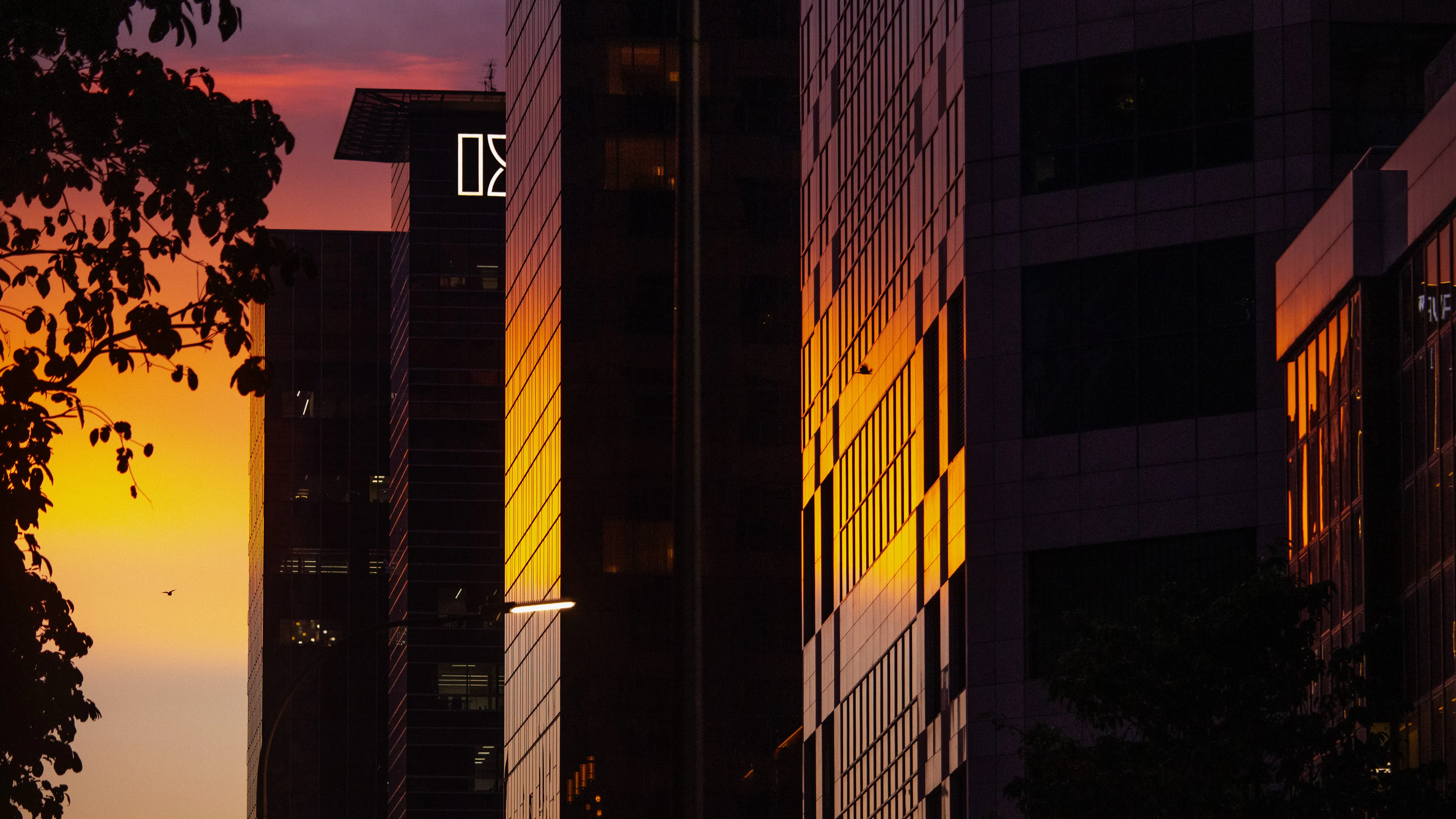 Chaos in the CBD photo 7